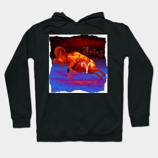 Aries Hoodie